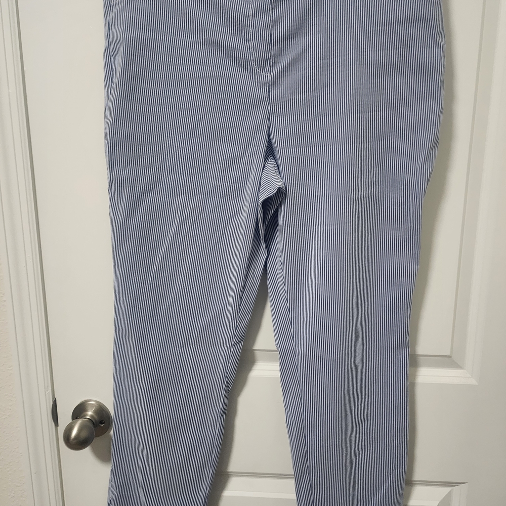 Anne Klein Blue Striped Chinos